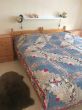 IMG-20180829-WA0003.jpg